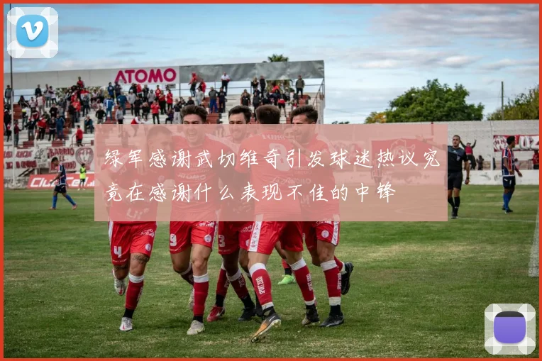 绿军感谢武切维奇引发球迷热议究竟在感谢什么表现不佳的中锋